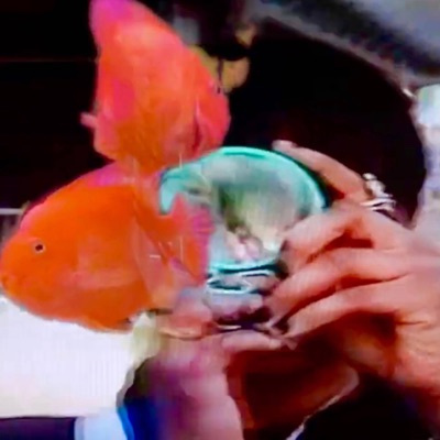 converse (feat. peace) - Single