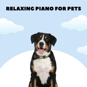 Doggy Lullabies