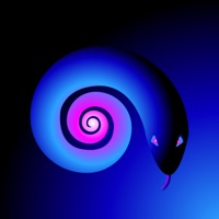 Viborita (Psytrance) - Single - RRADIKO