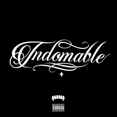 Indomable - Single