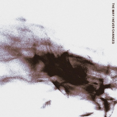 The Way I Never Changed - Single