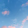 ПТИЦЫ