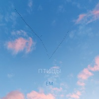 ПТИЦЫ