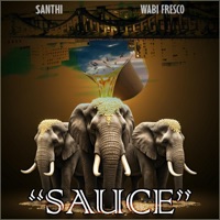 Sauce - Single - $aNTHI & Wabi Fresco