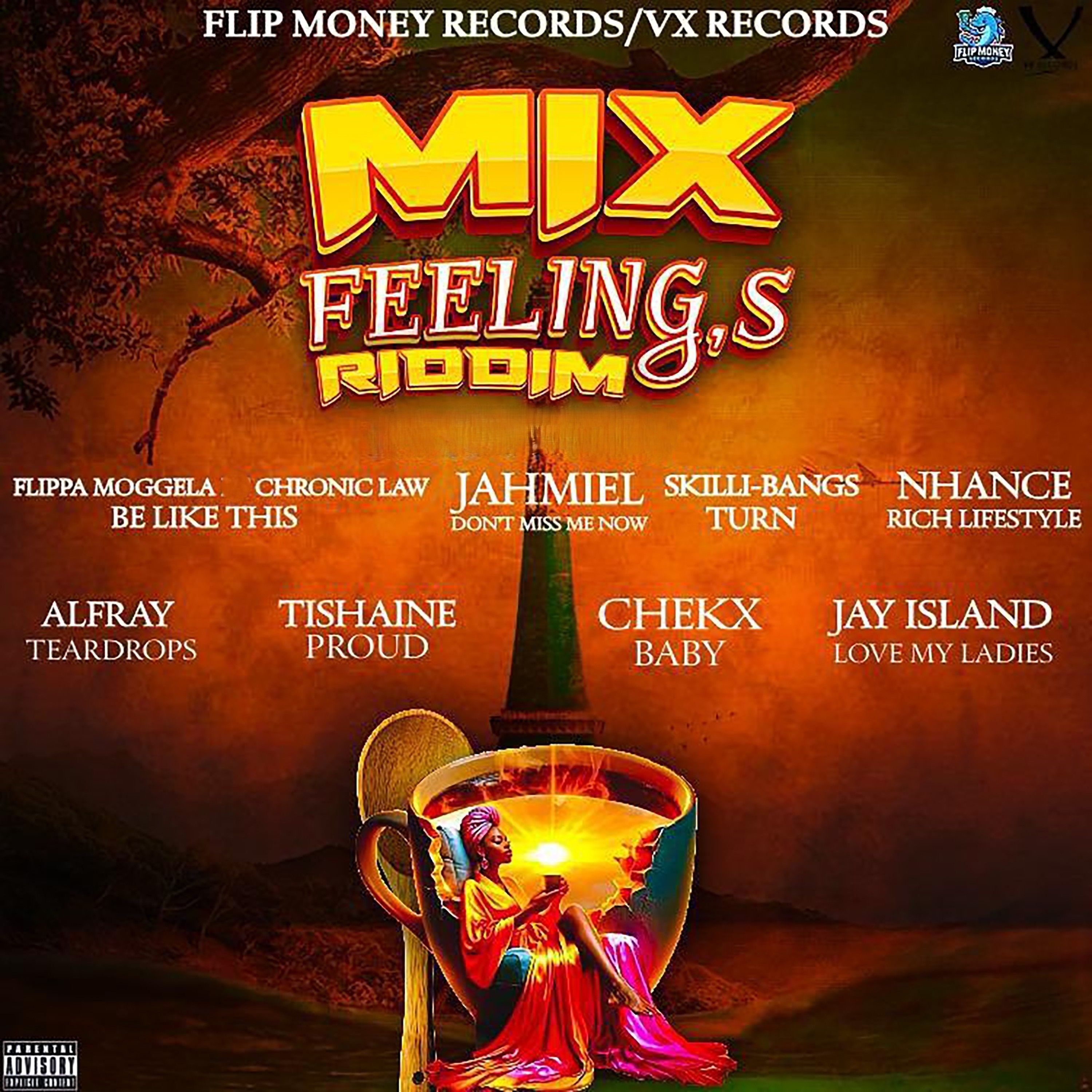 Mix Feelings Riddim