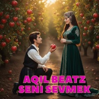 Səni Sevmək Istəyirəm (Duygusal Mahni) - Single - Aqil Beatz