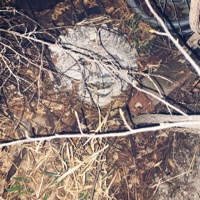 The Process (Resurrectorz Radio III) - numbmoi