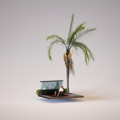 Mashallah (WILS*RISH Remix) - Single