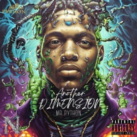 Perfect (Radio Edit) Mr Python