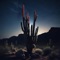 Cacti - Lil' Ceed lyrics