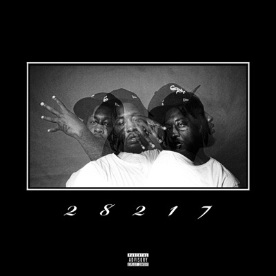28217