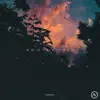 Almost Vanished - Discernment