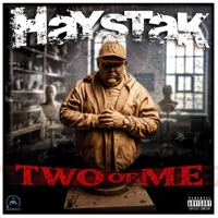 Two of Me - Single - Haystak