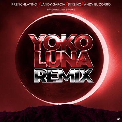YOKO LUNA (REMIX) - Single