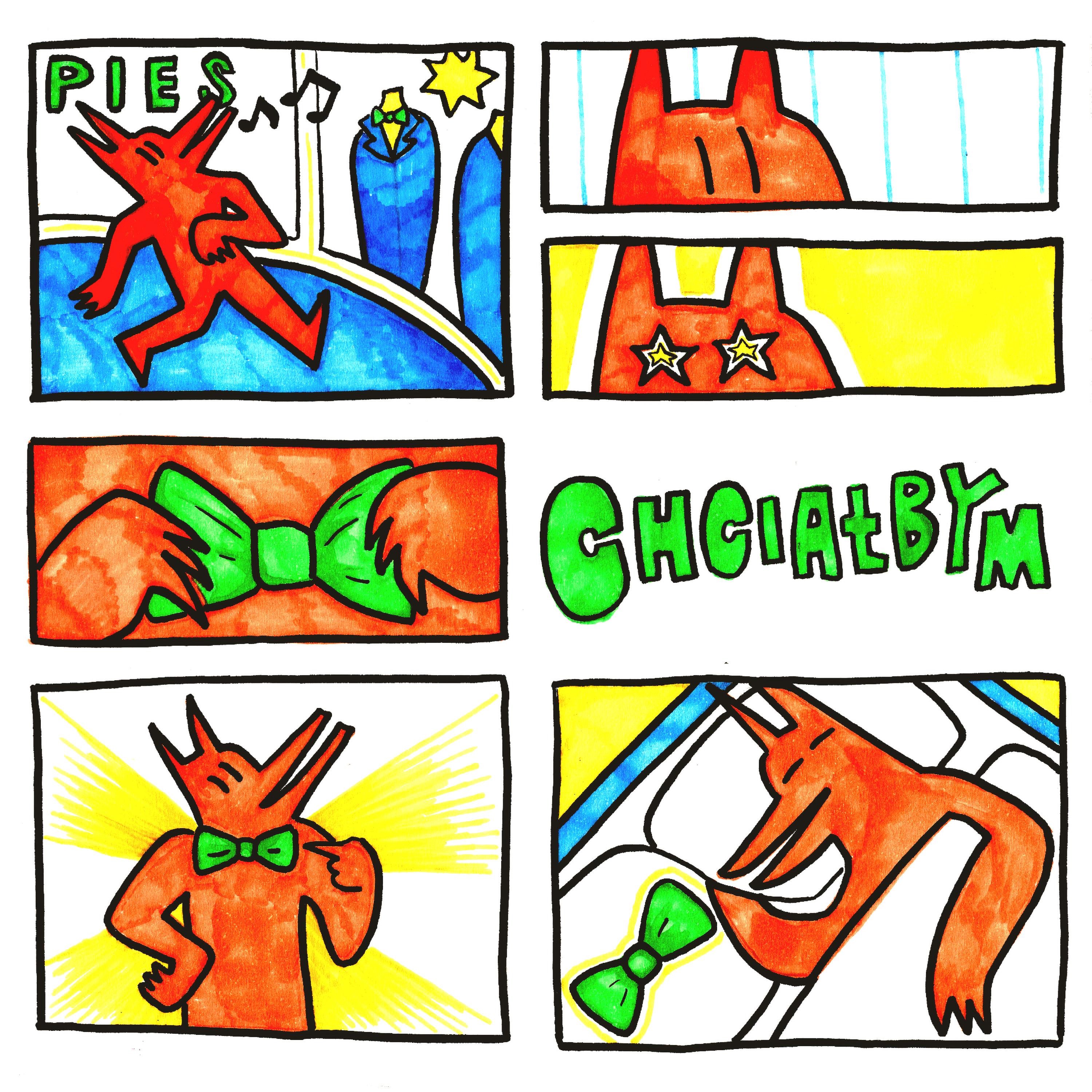 chciałbym wyglądać ładnie - Single