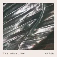Water — The Duckling