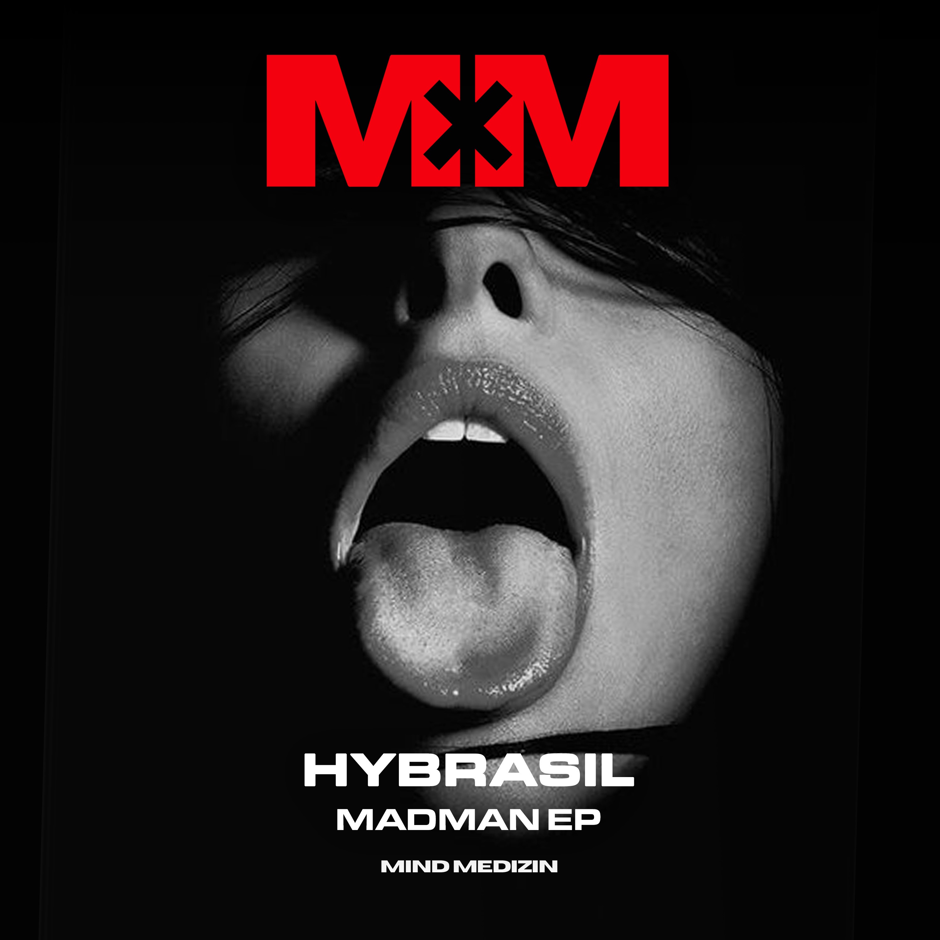 Hybrasil - The Rush (Original Mix)