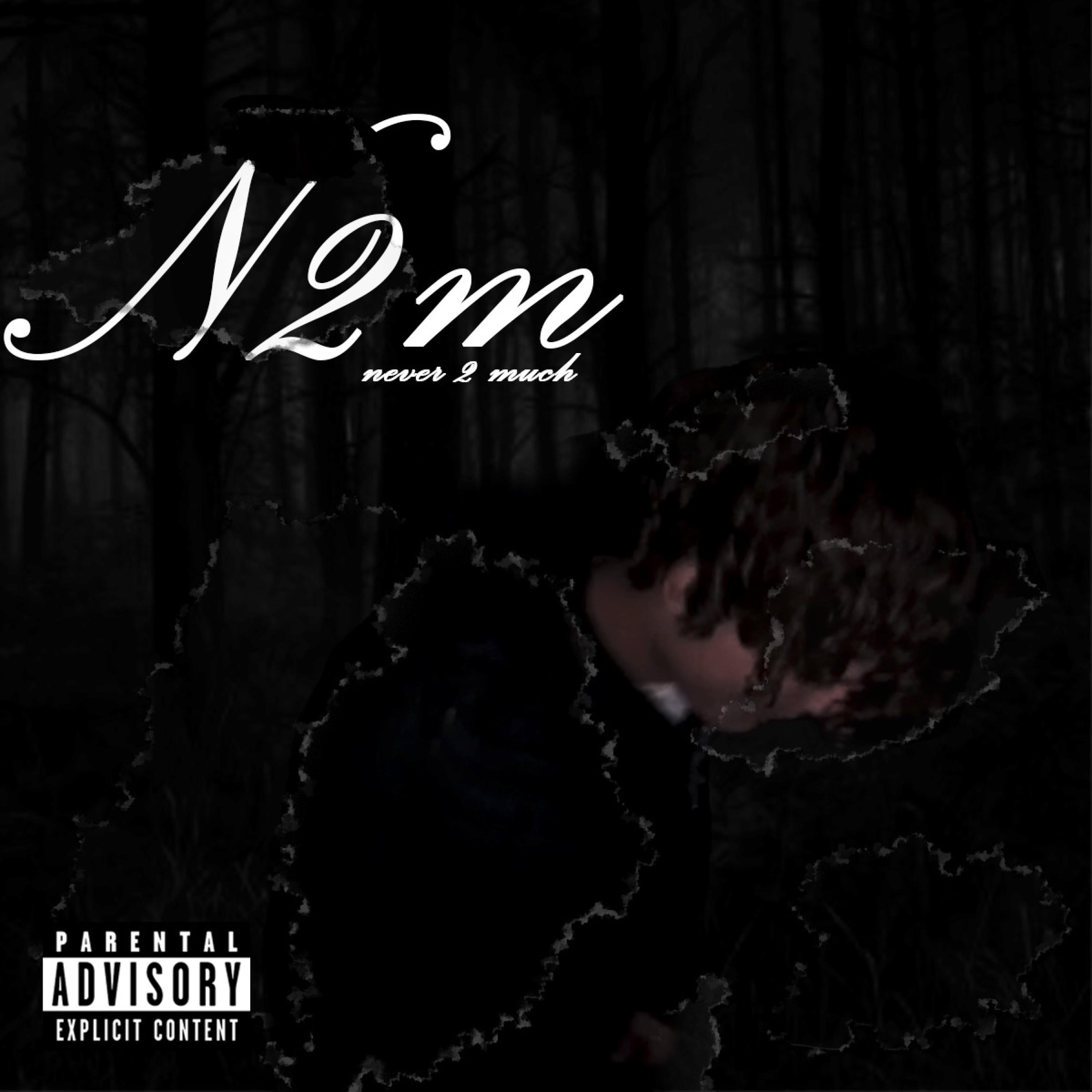 Mega CD - Masafumi Ogata - Sonic CD - Time Attack - 1993, Sega - Jump & Run