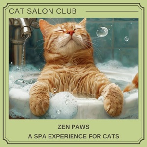 Zen Paws: a Spa Experience for Cats