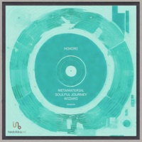 Metamaterial / Soulful Journey / Wizard - Single - Hokori