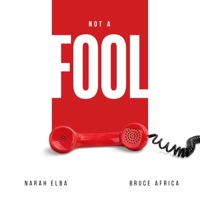 Not a Fool (feat. Bruce Africa) - Single - Narah Elba