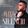 Roberto Carvalhaes & Bless Music - A Voz do Silêncio