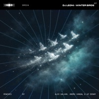 Winter Birds - EP - DJ Leoni, Alex Galvan, Andru Vangal & Az Denar