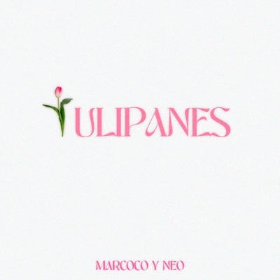 Tulipanes - Single