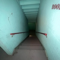 disturbed - EP - mollygotmetrippin