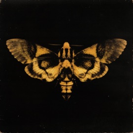 Pa Bailar Contigo Cocco Lexa