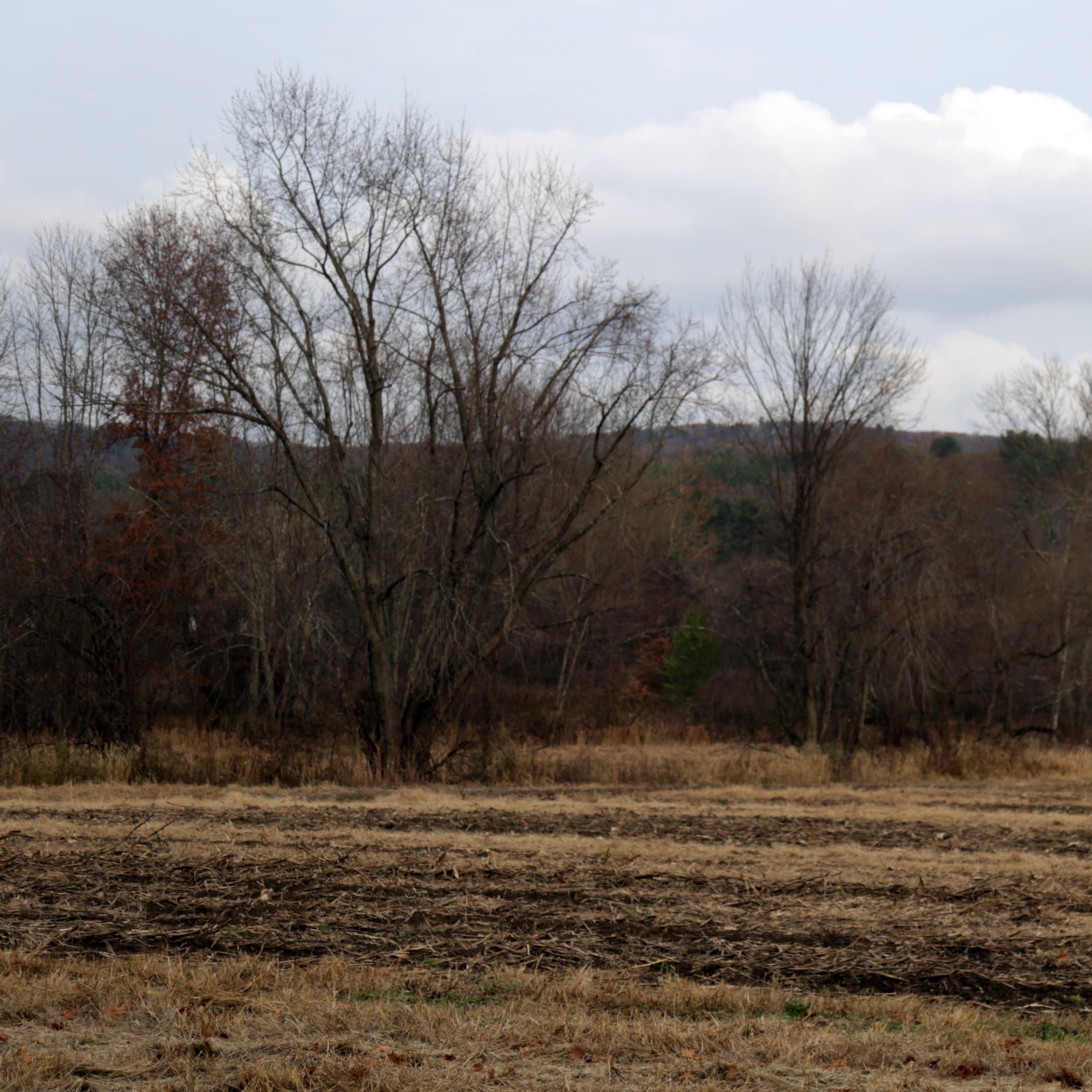 Complicated - Single