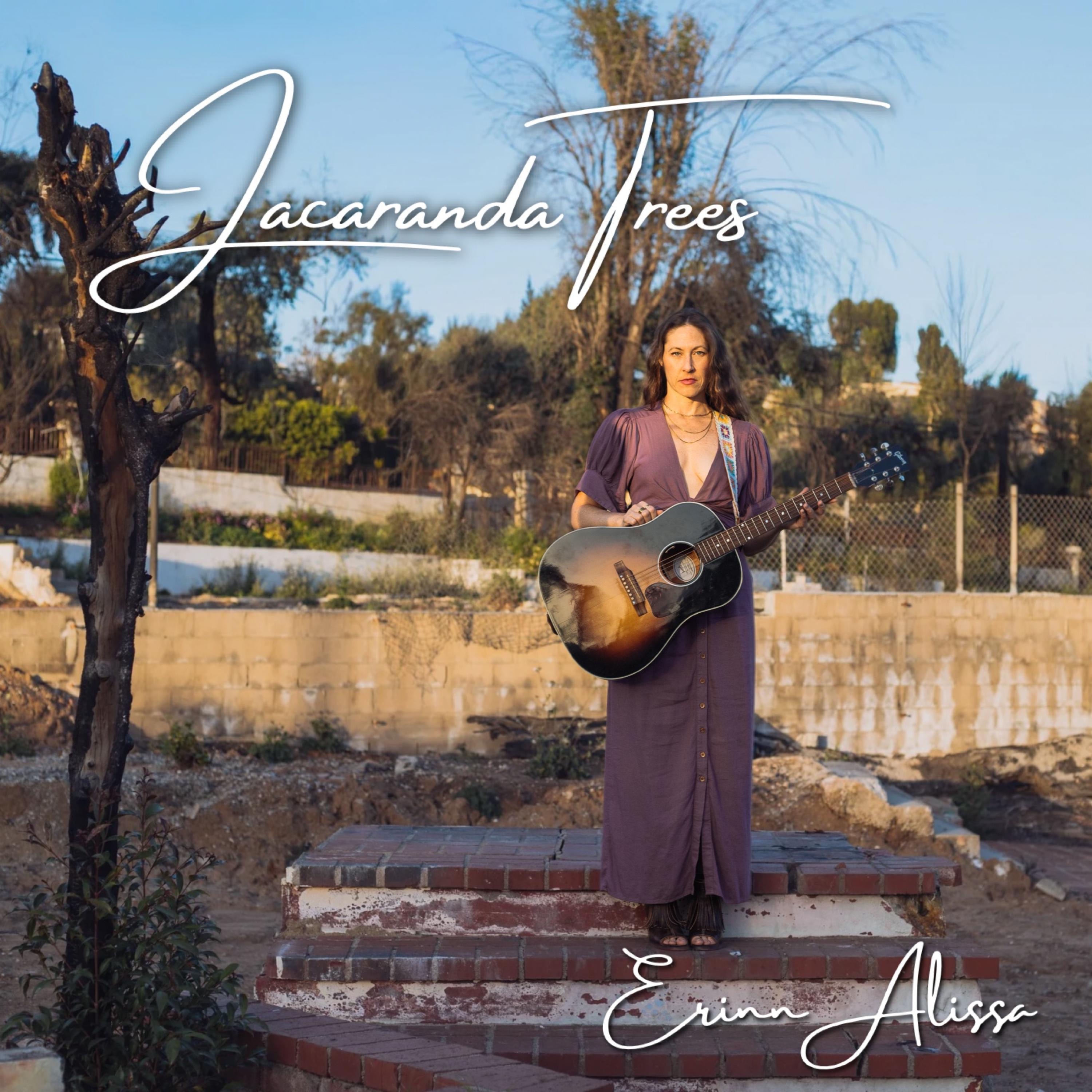 Jacaranda Trees - Single