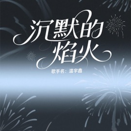 沉默的焰火 温宇鑫