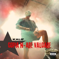 Copia n-are valoare (Freestyle) - Single - Kalif