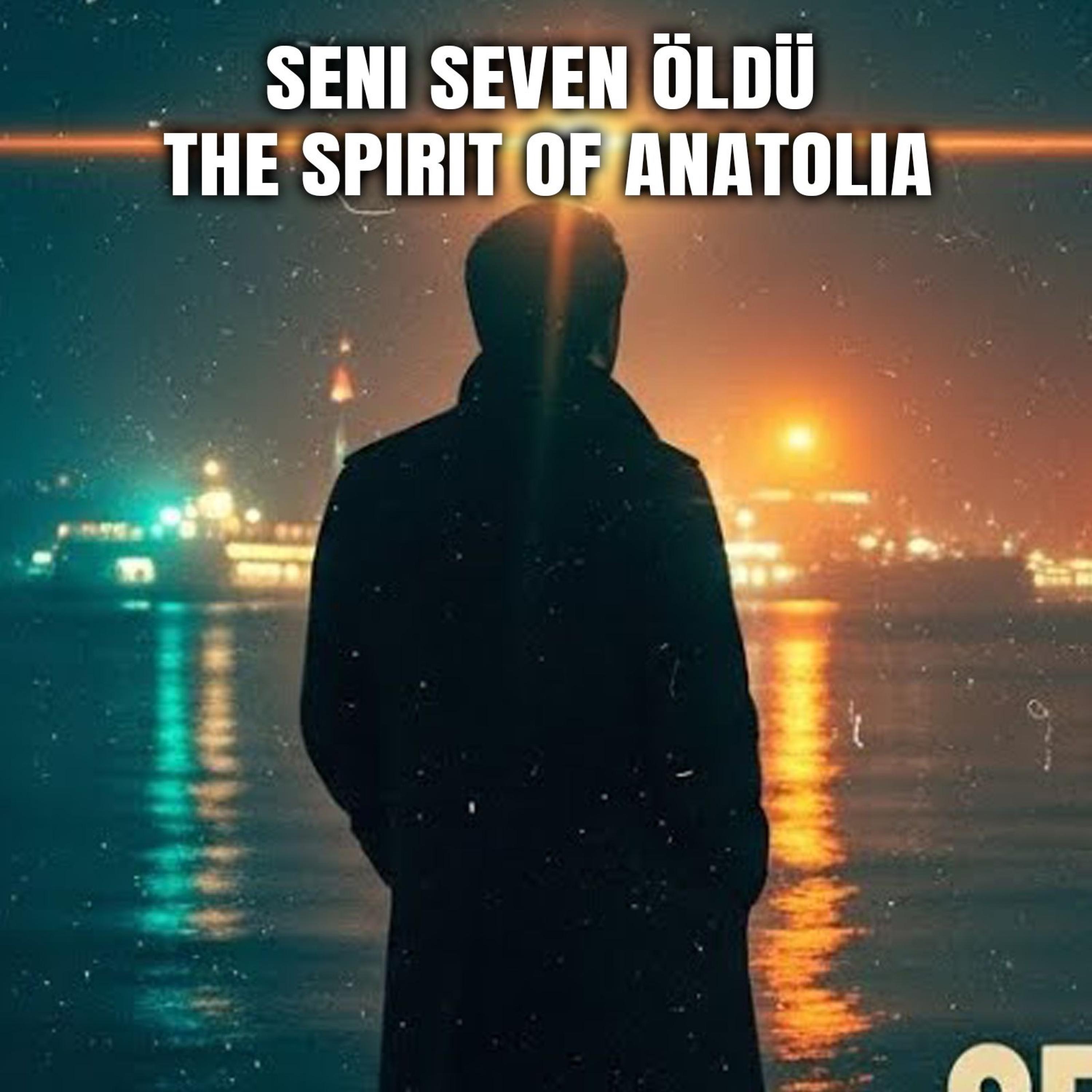 Seni Seven Öldü - Single