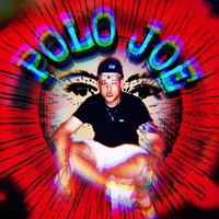Damn, I Think I'm Crazy (feat. FEIO) - Single - Polo Joe