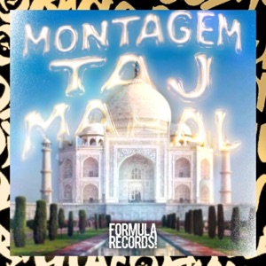 MONTAGEM TAJ MAHAL