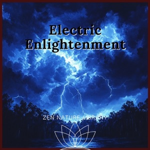Electric Enlightenment