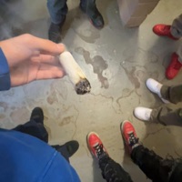 Posted (feat. KnucKlesx3) - Single - Boxerdaloc