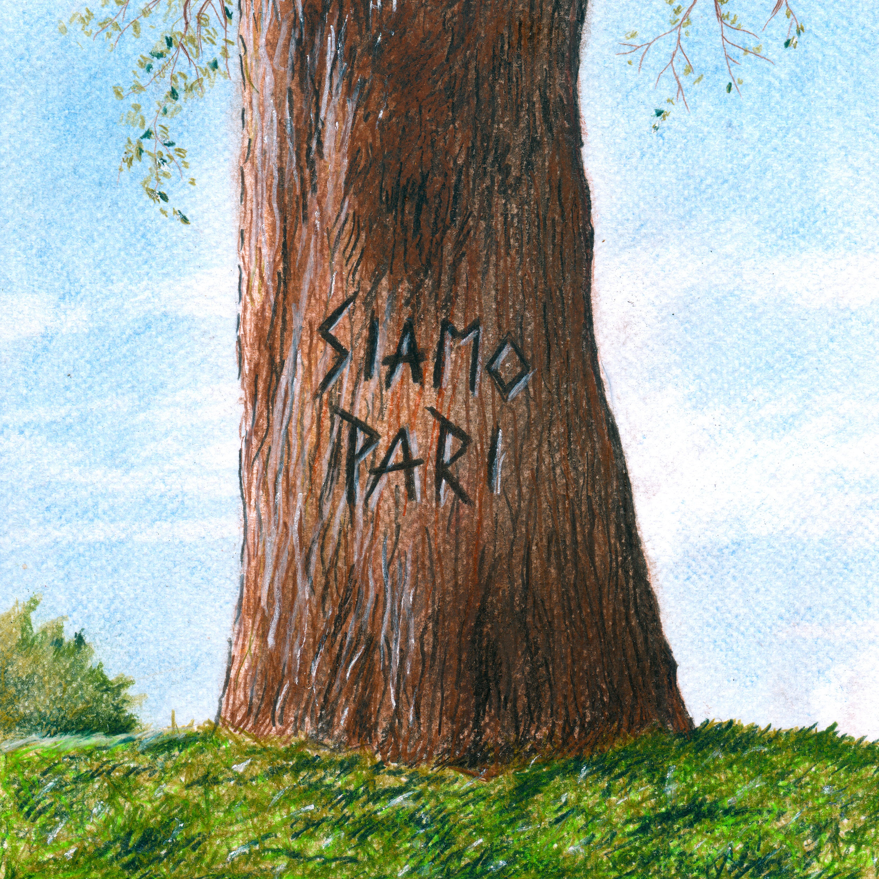 Amari - Siamo Pari
