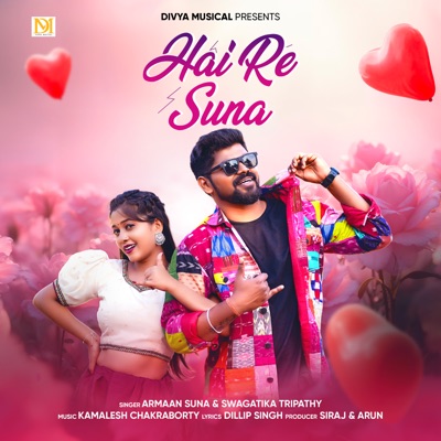 Hai Re Suna - Single