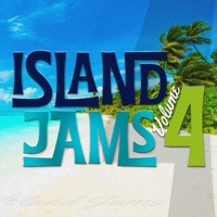 339 (feat. The New breed Band) - Single - Island Jams