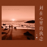 刻在心里的执念 (Djbanan版) - Single - Wang Na