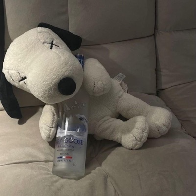 what they allowed of snoopycore - Single