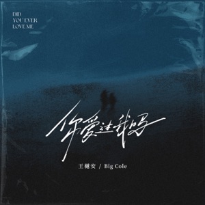 你爱过我吗 (梧桐立 心已空) - Single