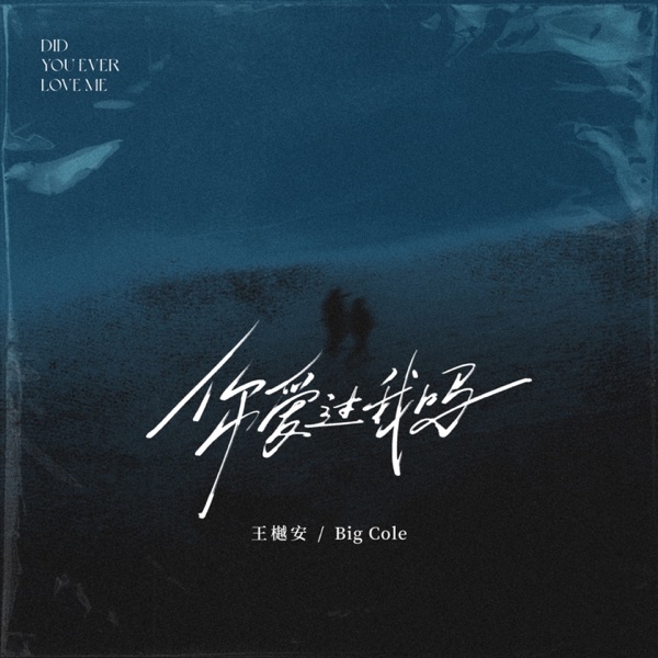 你爱过我吗 (梧桐立 心已空) - Single