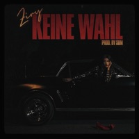 Keine Wahl - Single - Ziry