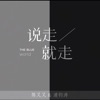 说走就走 - Single