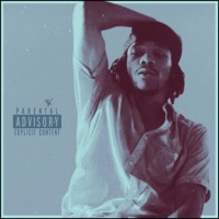 Bitchin (Barlean Version) - Single - Papi Love