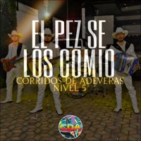 El Pez Se los Comio - Single - Corridos De Adeveras & Nivel 5